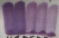 ENGOBA ROYAL PURPLE 59ml