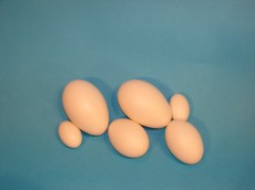 PLASTIČNO JAJE 9cm