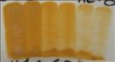 ENGOBA BRIGHT ORANGE 59ml