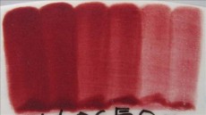 ENGOBA CARDINAL VIOLET 59 ml