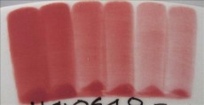 ENGOBA PINK LIPS 59 ml